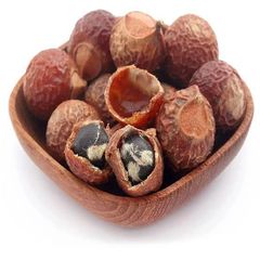 Premium Seedless Reetha (Soapnut) from Nepal | 25 MT Bulk Export Supply - Image 3